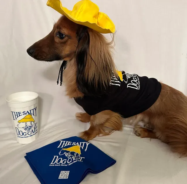 Customer photo of a pet with the Yellow Rain Hat