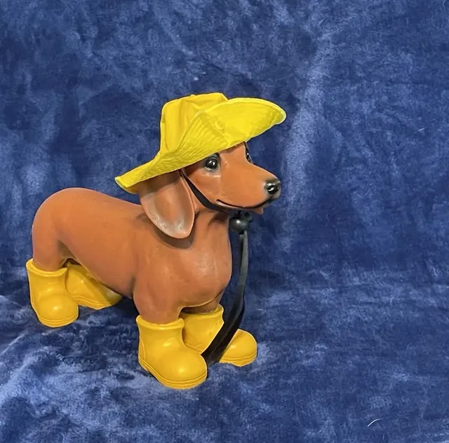 Customer photo of a pet with the Yellow Rain Hat