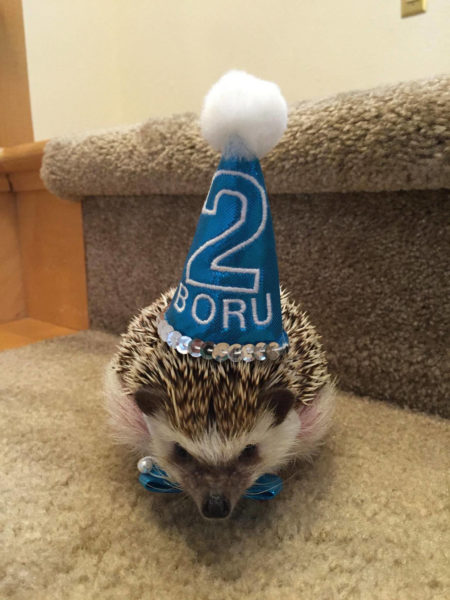 Boru 2nd Birthday #2