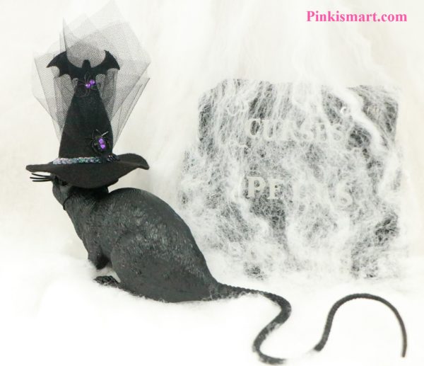 Pet Clothes Halloween Witch Hat Bat Theme Published Small Back