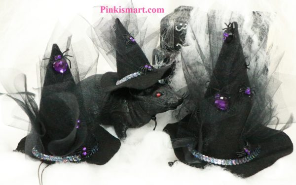 Pet Clothes Halloween Witch Hat Spider Theme Published 3 Hats Front