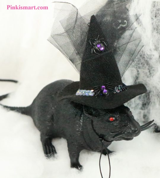 Pet Clothes Halloween Witch Hat Spider Theme Published Small Front