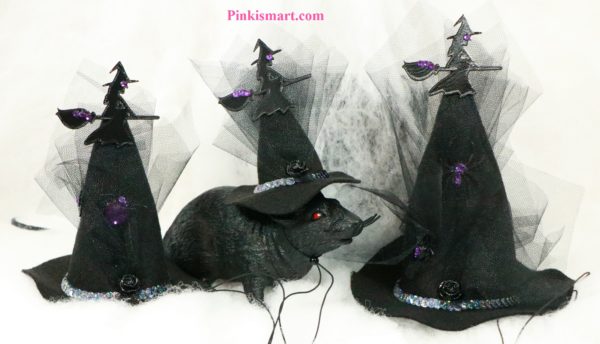 Pet Clothes Halloween Witch Hat Witch Theme Published 3 Hats Front