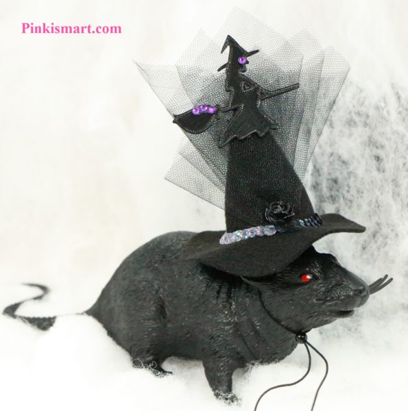 Pet Clothes Halloween Witch Hat Witch Theme Published Small Front 2